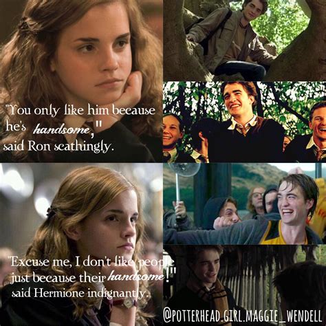 harry potter hermione granger fanfiction